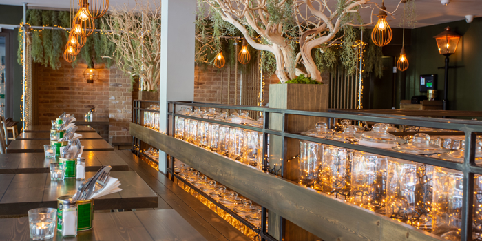 A stylish restaurant interior with long wooden tables, warm pendant lights, decorative trees in large planters and shelves of glass jars lit with fairy lights, creating a soft, ambient glow.