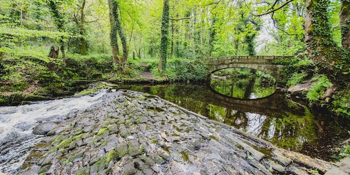 Rivelin Valley Trail walk, with the trees reflecting in the water.