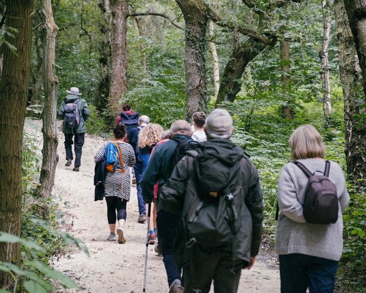 A large group of people on a walk through a wooded area.