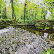 A serene woodland scene featuring a gently flowing stream with a small stone weir in the foreground. The water cascades over moss-covered rocks into a calm pool, reflecting the surrounding greenery. In the background, a rustic stone arch bridge spans the stream, surrounded by tall trees with bright green leaves and ivy-covered trunks, creating a lush, tranquil atmosphere.