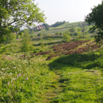 A view of Manor Fields Park.