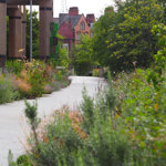 A path stretches away into the distance, either side is planted with a huge range of plants and flowers.