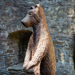 A bronze statue of a bear in the bear pit at Sheffield Botanical Gardens.