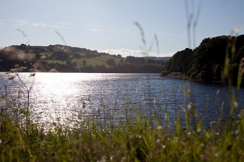 Peaceful landscape with a large body of water reflecting sunlight. Tall grasses and plants frame the foreground, while rolling hills with trees and open fields stretch across the background under a clear blue sky.