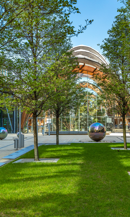 Trees, sculpture and the Sheffield Winter Garden in the sunshine.