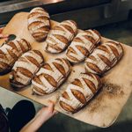 Eight loaves of bread being taken out of the oven.