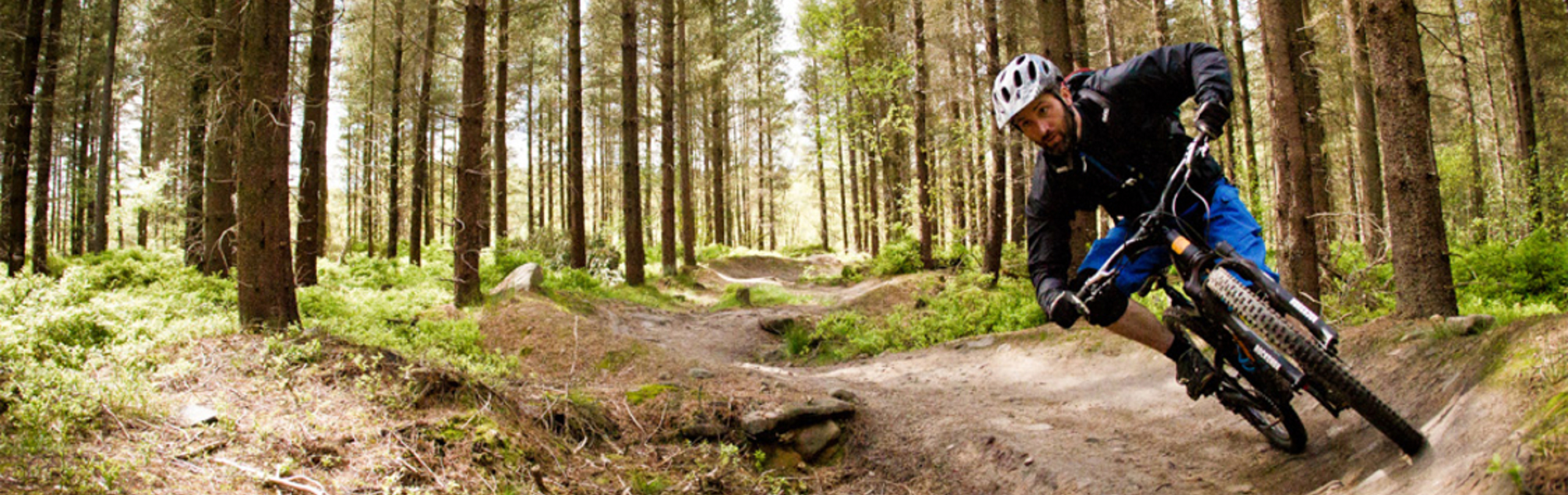 A man on a mountain bike cycles round a banked curve on a dirt track in a wooded area.