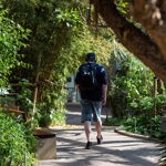 A man with a rucksack walks amongst the plants in the Sheffield Winter Garden.