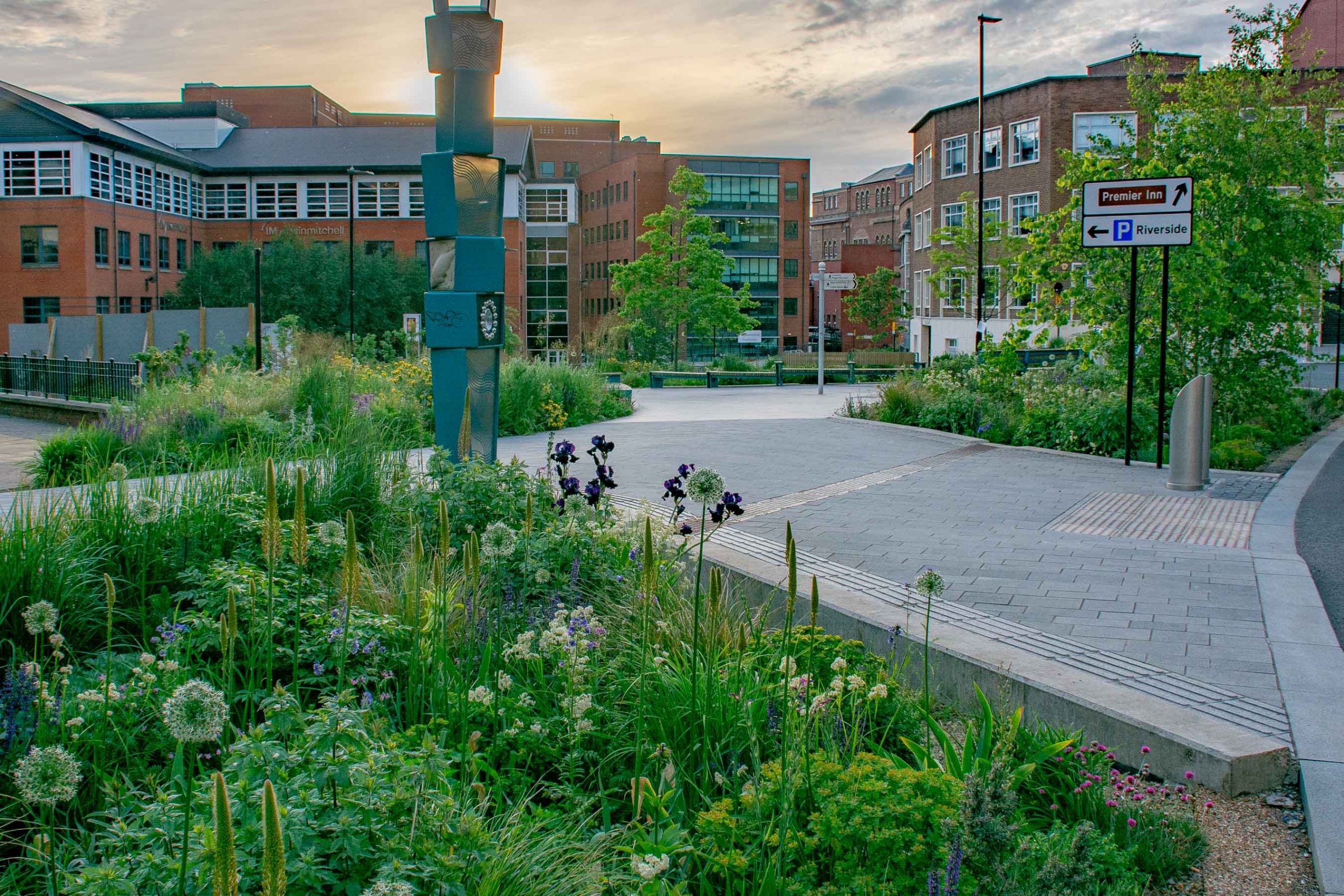 Several areas are planted up with lots of grasses and plants in an urban setting. Paths weave between them with benches for people to sit on.
