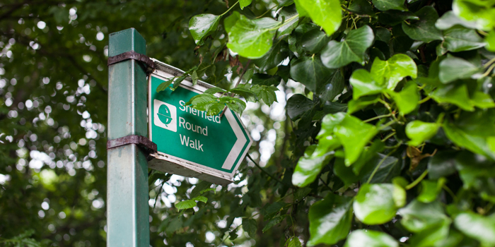 Green Sheffield Round Walk sign beneath the trees.