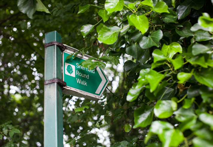 Green Sheffield Round Walk sign beneath the trees.