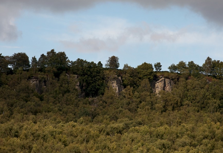 Rivelin Edge - A scenic view of a forested area with a rocky cliff in the background. The cliff is topped with trees and bushes, while the foreground is densely covered with green foliage. The sky above is partly cloudy, adding depth to the landscape.