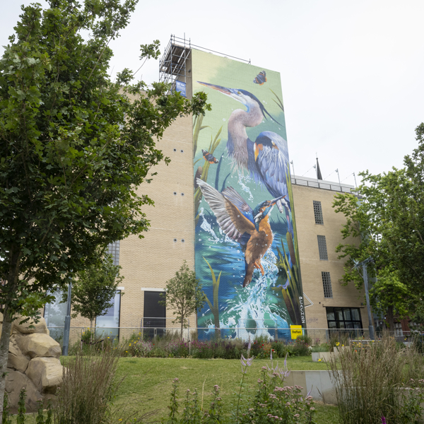 A tall beige building with a large, colorful mural depicting birds in flight and aquatic plants. The mural features a heron and a kingfisher against a vibrant blue and green background. In the foreground, there are trees, landscaped grass, flowers, and large rock formations, creating a natural park-like setting under a cloudy sky.