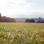 A view across a grassy field in Norfolk Heritage park, which is edged with lots of trees. In the distance you can see Sheffield city centre.