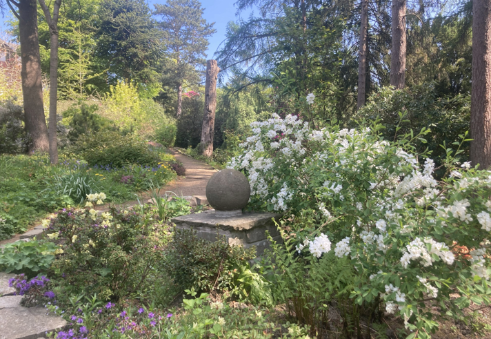 Whinfell Quarry Gardens on a sunny day.